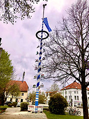 Maibaum 2021 in Neuried bei München (©Foto: Martin Schmitz)